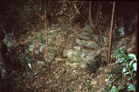 f:id:matinoneko:20080101120057j:image f:id:matinoneko:20080101120057j:image