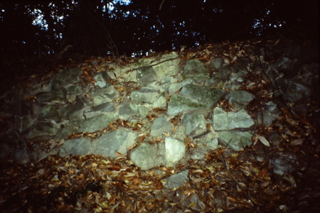 f:id:matinoneko:20080101120901j:image