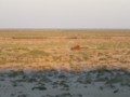 20100103012225