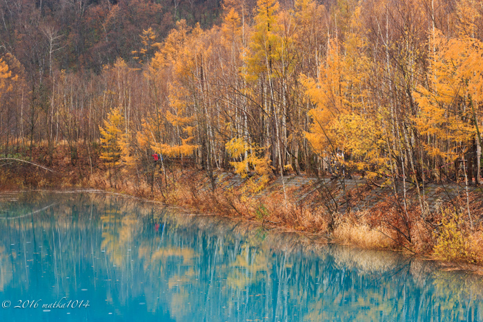 f:id:matka1014:20141027120123j:plain