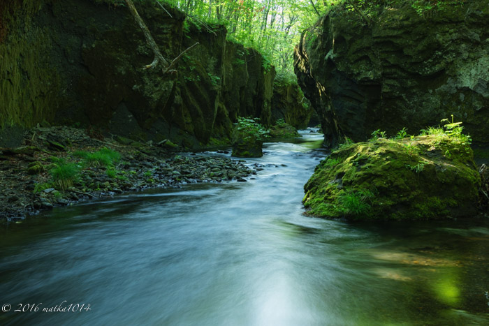 f:id:matka1014:20160529154048j:plain