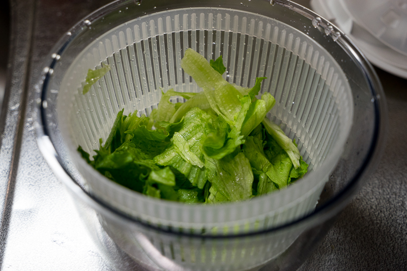 レタスをちぎる レタスをちぎる