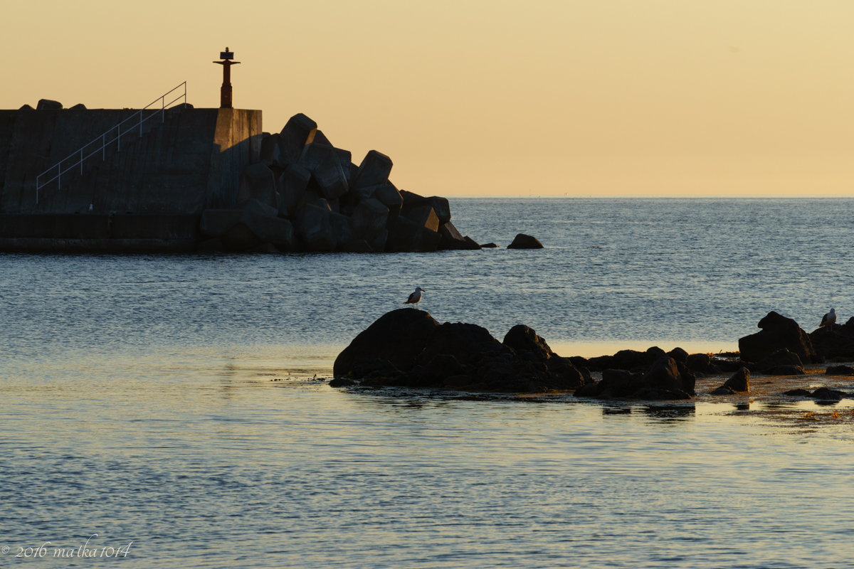 f:id:matka1014:20160702234036j:plain