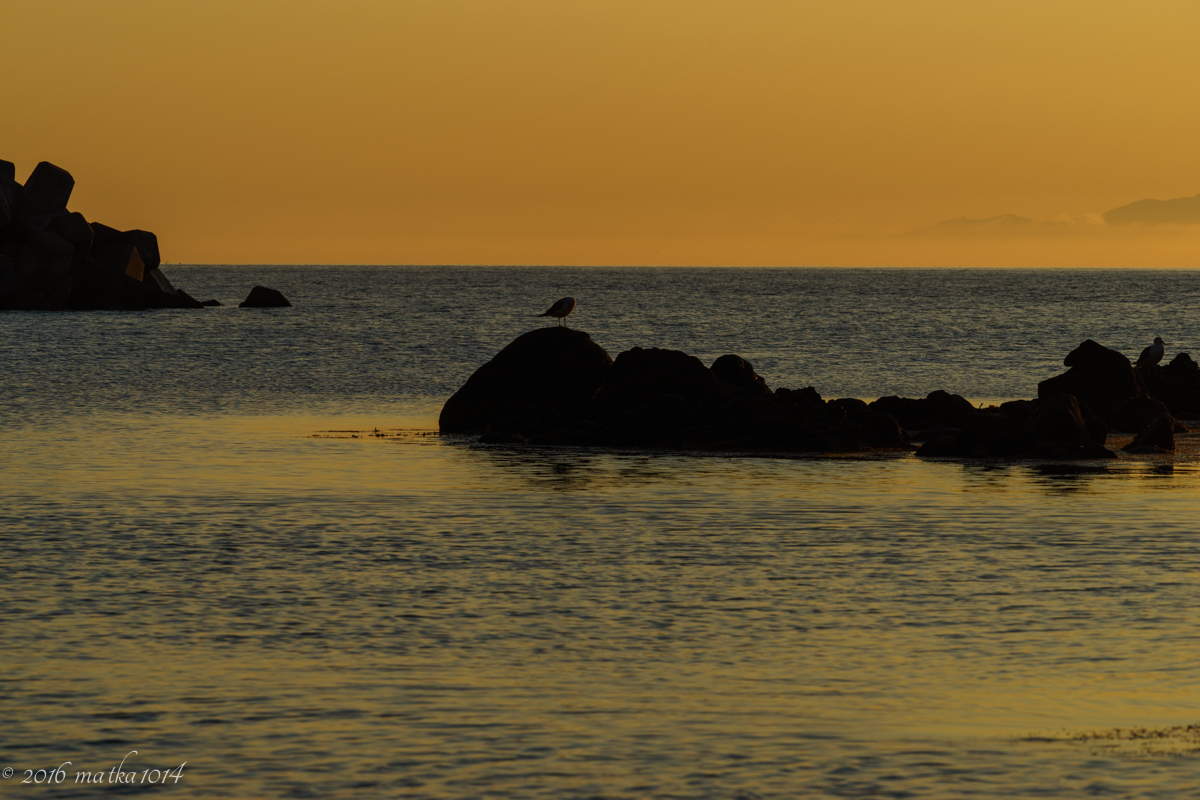 f:id:matka1014:20160702234039j:plain