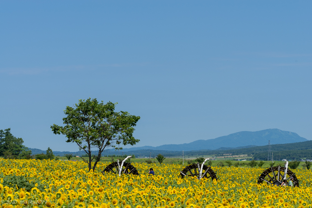 f:id:matka1014:20160807231437j:plain f:id:matka1014:20160807231437j:plain