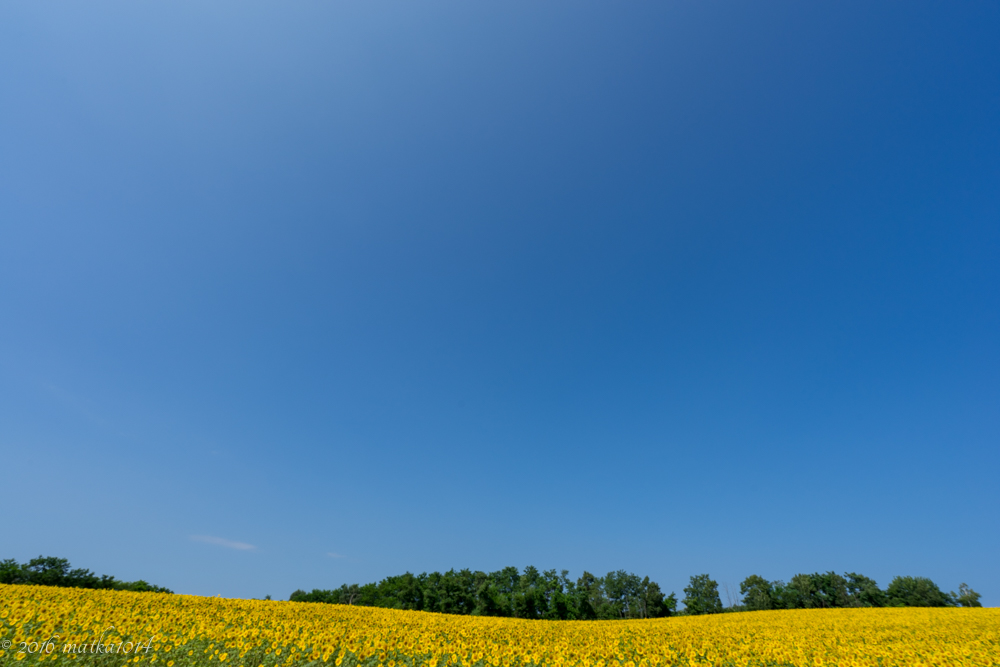 f:id:matka1014:20160807231445j:plain f:id:matka1014:20160807231445j:plain