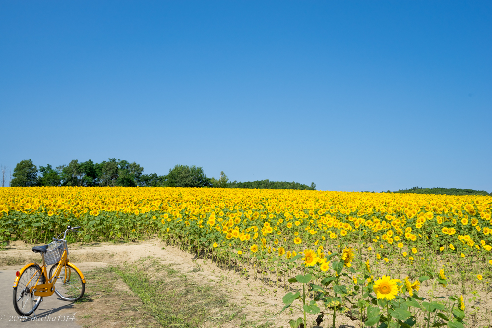 f:id:matka1014:20160807231447j:plain f:id:matka1014:20160807231447j:plain