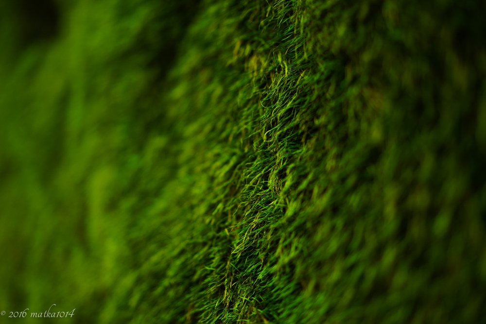 f:id:matka1014:20160901235125j:plain f:id:matka1014:20160901235125j:plain