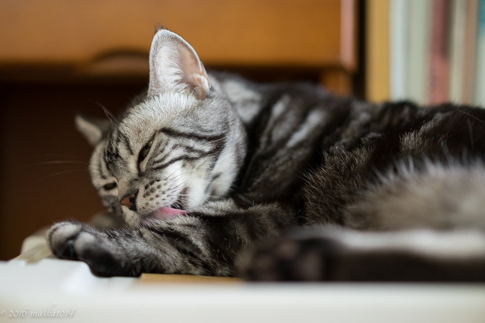 f:id:matka1014:20160901235127j:plain f:id:matka1014:20160901235127j:plain