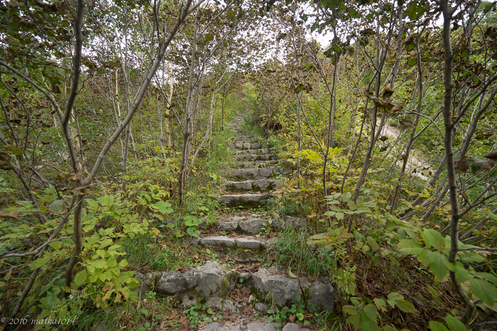 f:id:matka1014:20160918211239j:plain