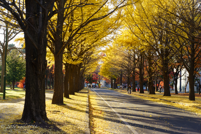 f:id:matka1014:20161010225444j:plain