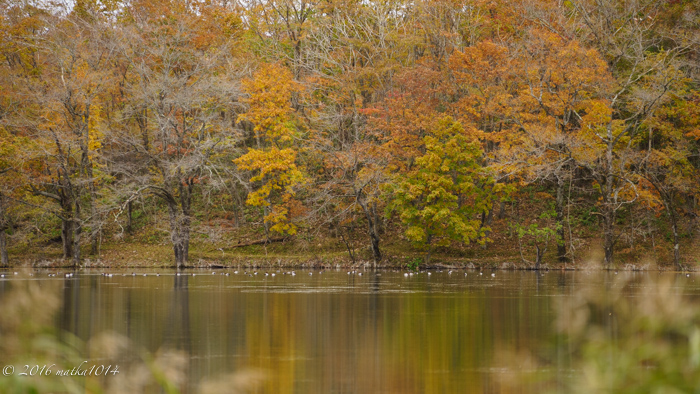 f:id:matka1014:20161022085833j:plain f:id:matka1014:20161022085833j:plain