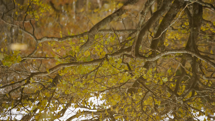 f:id:matka1014:20161022085957j:plain f:id:matka1014:20161022085957j:plain