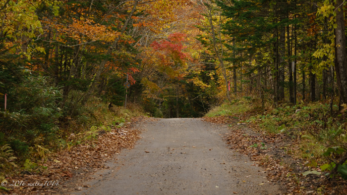 f:id:matka1014:20161022092528j:plain f:id:matka1014:20161022092528j:plain