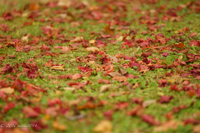 f:id:matka1014:20161022095645j:plain f:id:matka1014:20161022095645j:plain