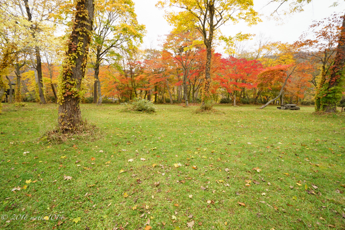 f:id:matka1014:20161022100309j:plain f:id:matka1014:20161022100309j:plain