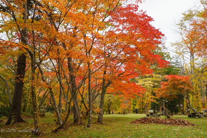 f:id:matka1014:20161022105952j:plain f:id:matka1014:20161022105952j:plain