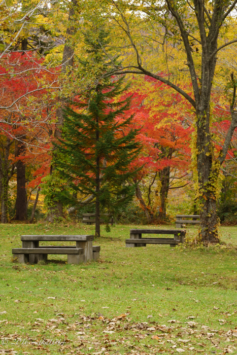 f:id:matka1014:20161022112832j:plain f:id:matka1014:20161022112832j:plain