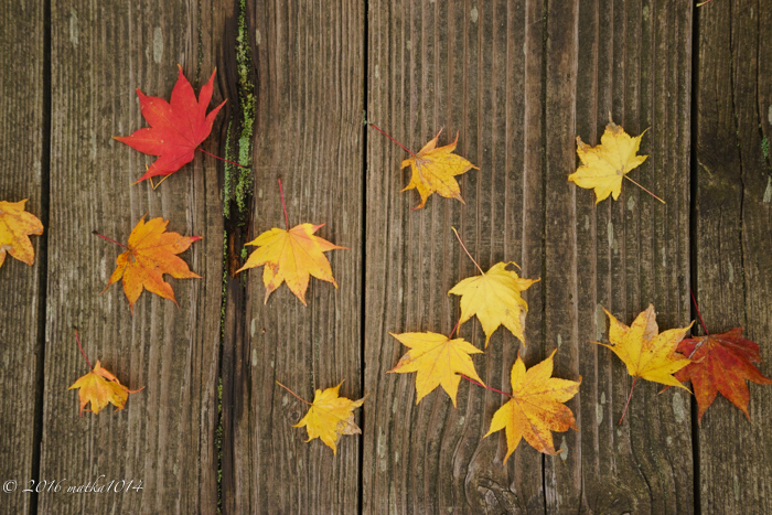 f:id:matka1014:20161022120950j:plain f:id:matka1014:20161022120950j:plain