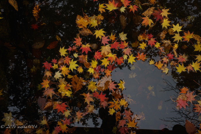 f:id:matka1014:20161022121253j:plain f:id:matka1014:20161022121253j:plain