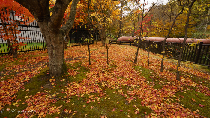 f:id:matka1014:20161022123250j:plain f:id:matka1014:20161022123250j:plain