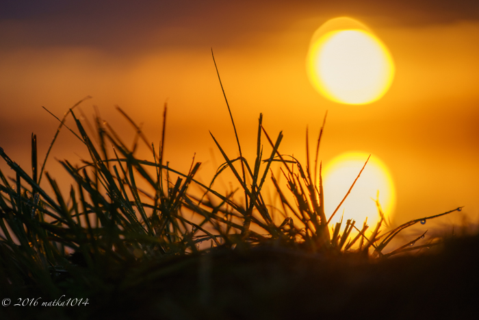 f:id:matka1014:20161023060725j:plain f:id:matka1014:20161023060725j:plain