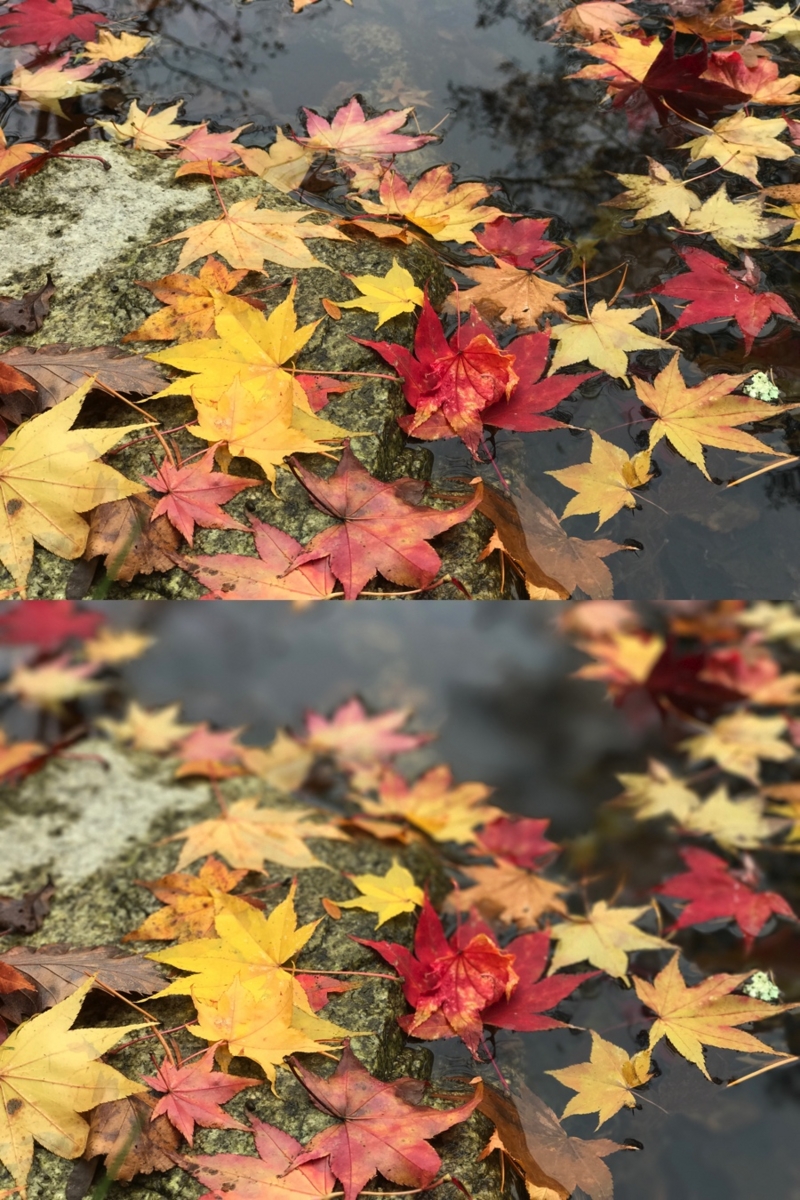 f:id:matka1014:20161024005327j:plain