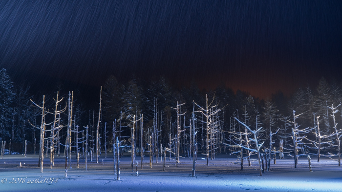 f:id:matka1014:20161105160505j:plain