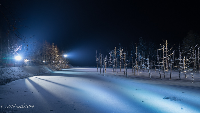 f:id:matka1014:20161105160541j:plain