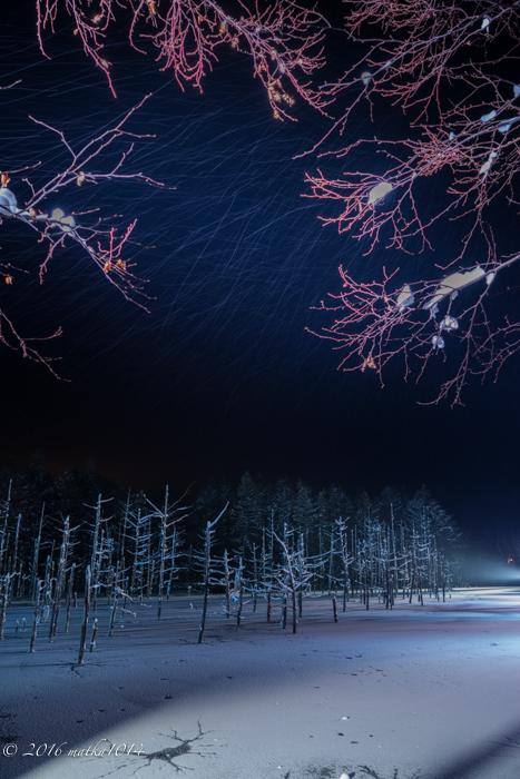 f:id:matka1014:20161105160543j:plain