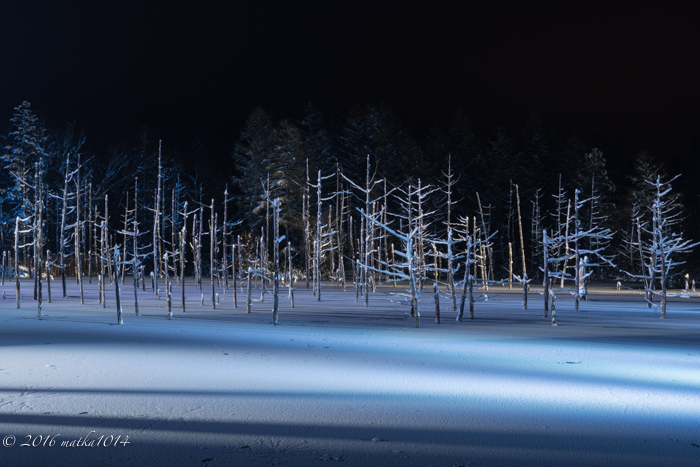 f:id:matka1014:20161105160547j:plain