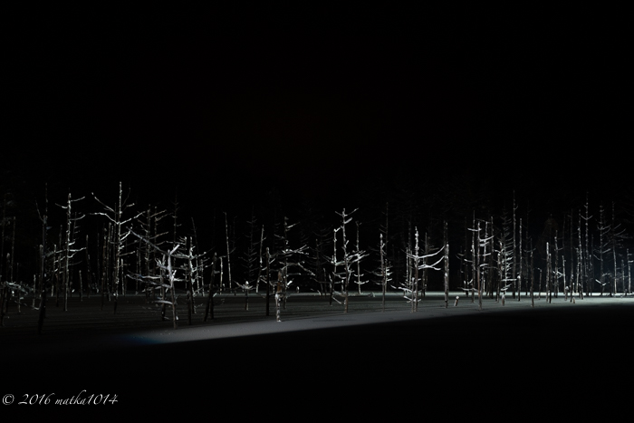 f:id:matka1014:20161105160548j:plain