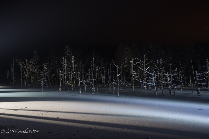 f:id:matka1014:20161105160550j:plain