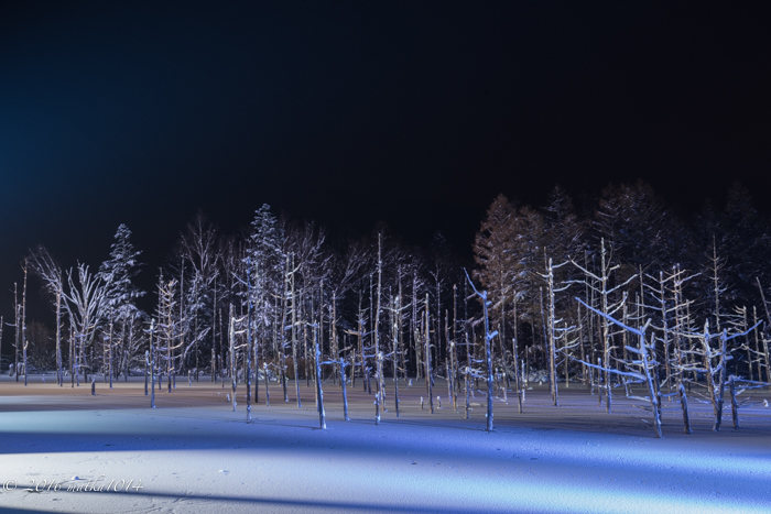 f:id:matka1014:20161105160551j:plain