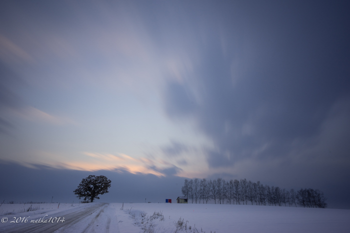 f:id:matka1014:20161105160552j:plain