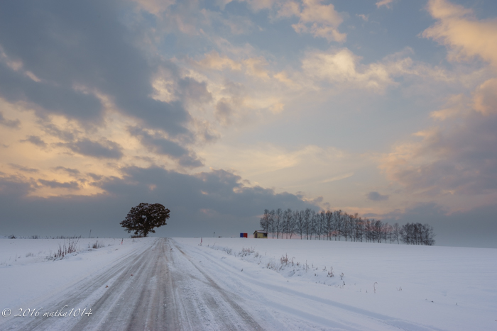 f:id:matka1014:20161105160553j:plain