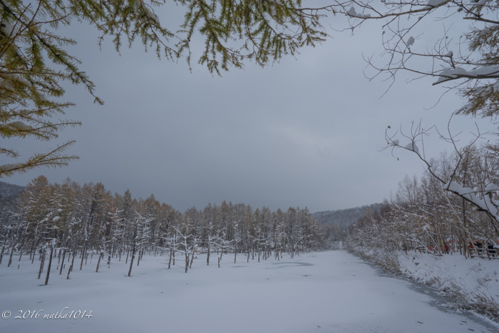 f:id:matka1014:20161105160554j:plain