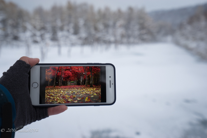 f:id:matka1014:20161105160555j:plain