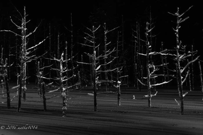 f:id:matka1014:20161105163749j:plain