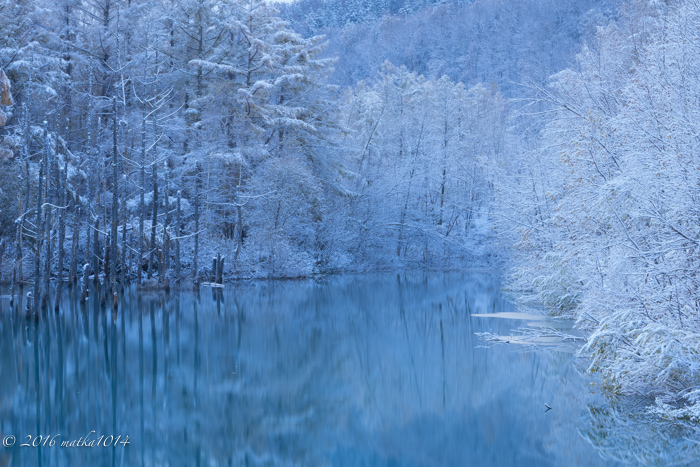 f:id:matka1014:20161112225809j:plain