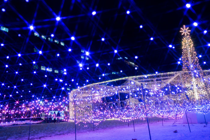 f:id:matka1014:20161202203737j:plain