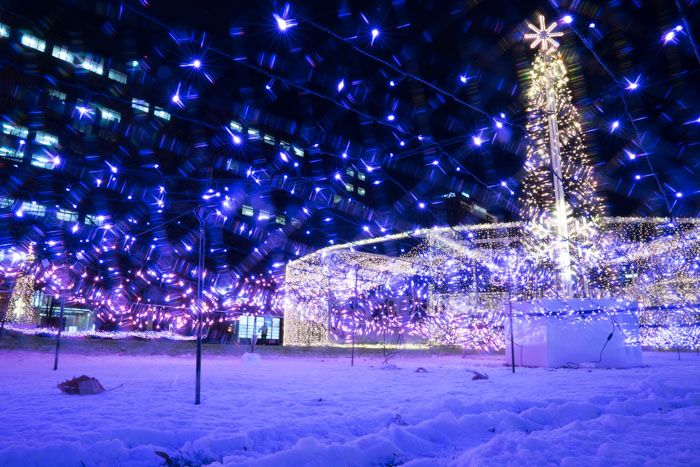 f:id:matka1014:20161202204044j:plain