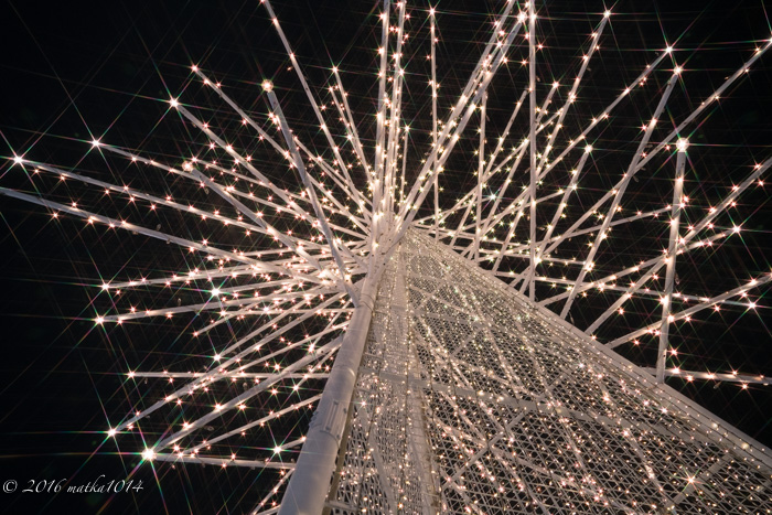 f:id:matka1014:20161204214932j:plain