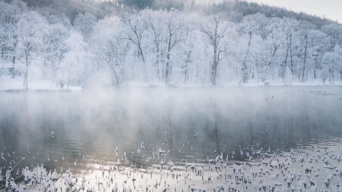 f:id:matka1014:20170122090623j:plain