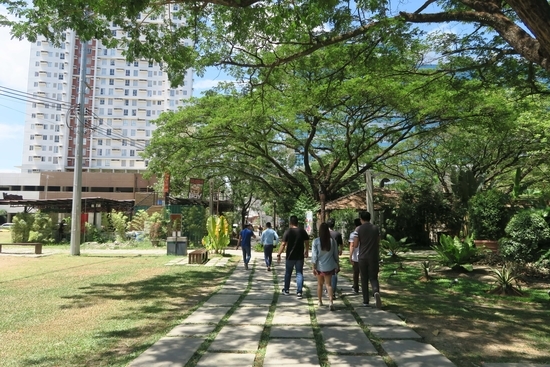 セブ留学の通勤路