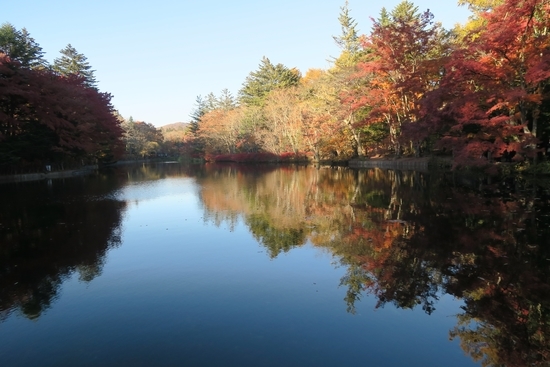 旧軽井沢の池