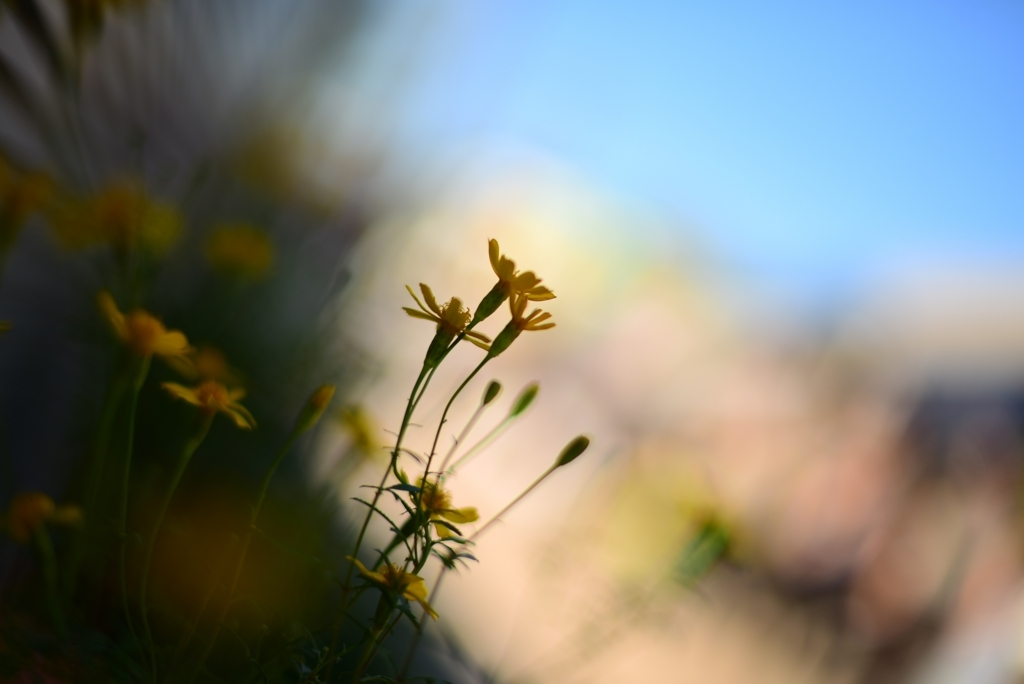 f:id:matobatman:20180425215556j:plain