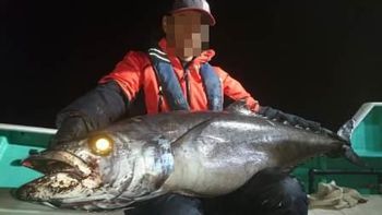 食べたら最期 脂がのりすぎてヤバい魚 深海魚 バラムツ について まとまととまと