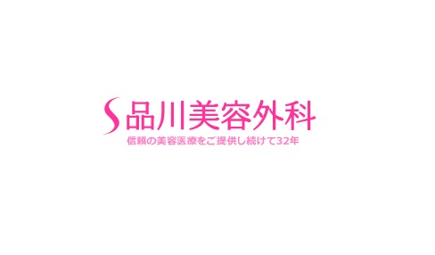f:id:matome-biyou-clinic:20201113022741j:plain