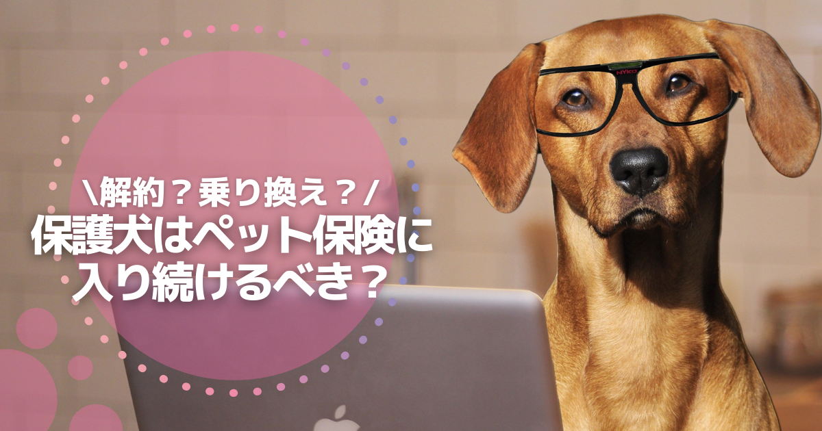 f:id:matome_page:20210608220424p:plain